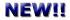 New Logo